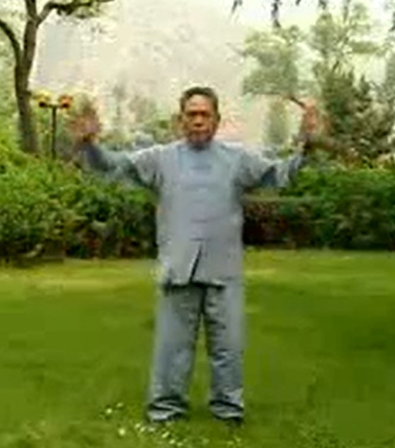 Chansi Jing Gong Fa par Maître Feng Zhiqiang